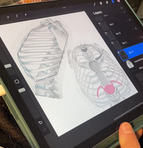 Trace ribs from 3D model on iPad