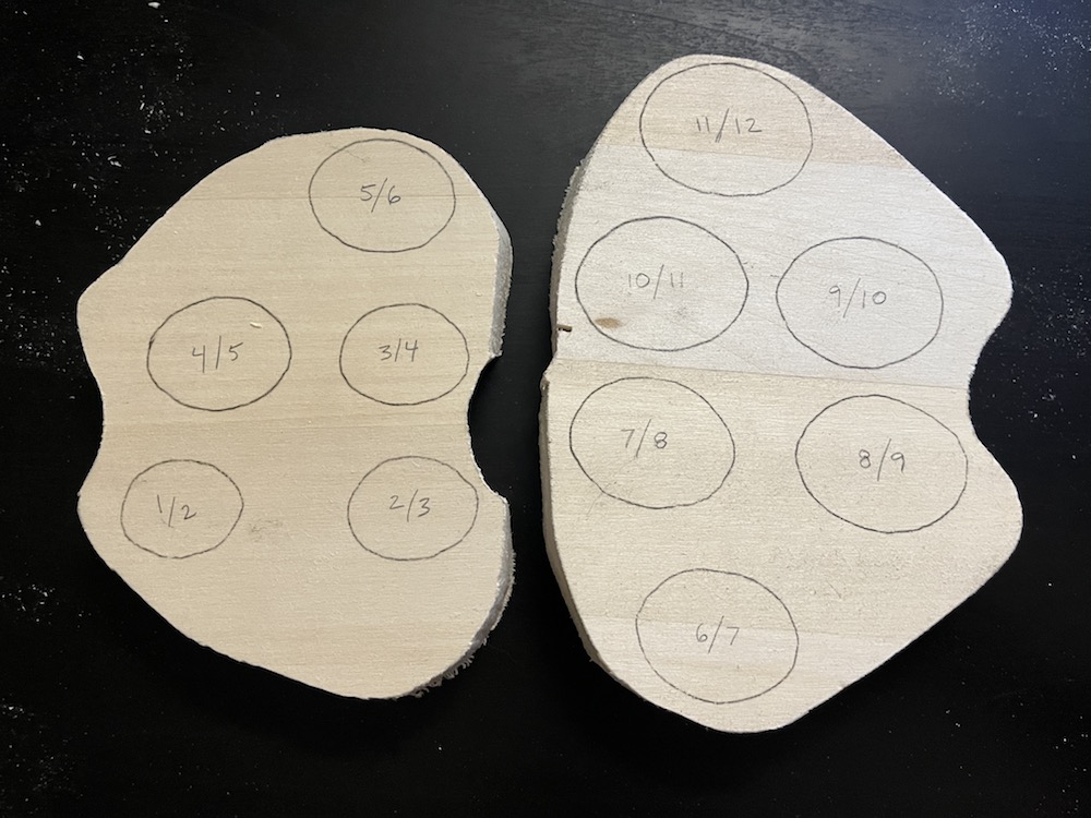 Vertebrae outlined traced before cutout